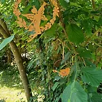 Lantställe Le Jardin D' Epicure