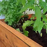 Le Jardin D' Epicure Lantställe Oderen