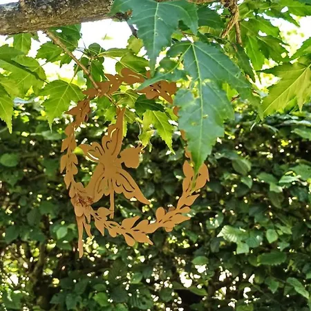 Le Jardin D' Epicure Gospodarstwo wiejskie Oderen