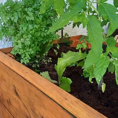 Le Jardin D' Epicure Gospodarstwo wiejskie Oderen